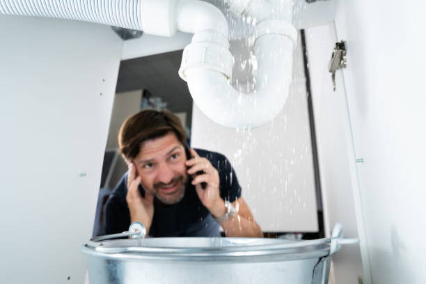 Best Shower Repair Services  in Croswell, MI