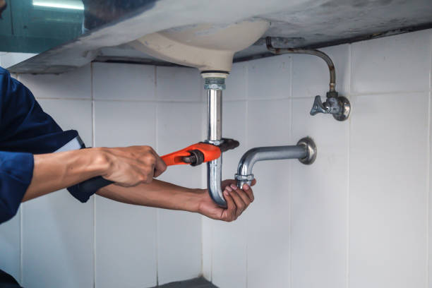 Best Plumbing Installation Services  in Croswell, MI