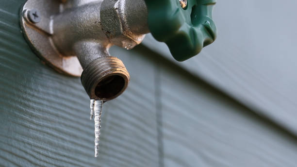 Best Emergency Plumber  in Croswell, MI