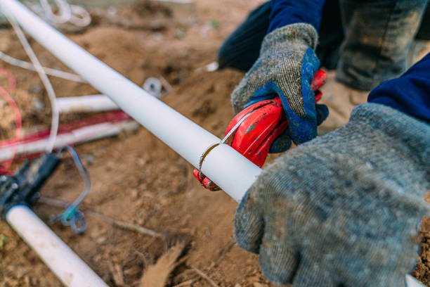 Best Local Plumber Services  in Croswell, MI