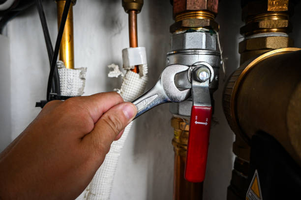 Best Emergency Plumbing Repair  in Croswell, MI